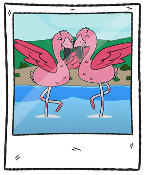 flamencoMarco