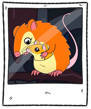 monitoMarco