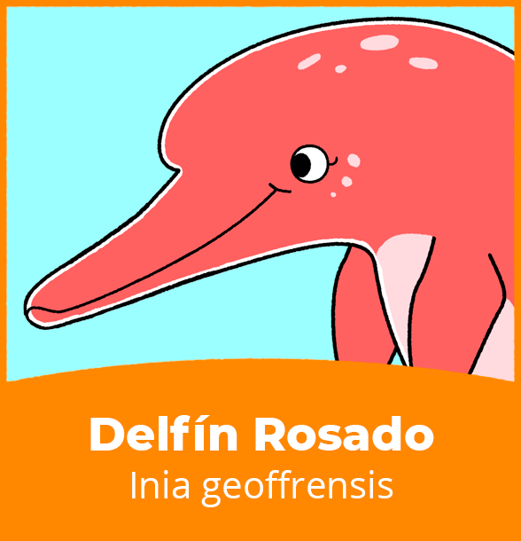 retrato_DelfinRosado