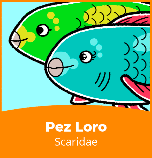 retrato_PezLoro